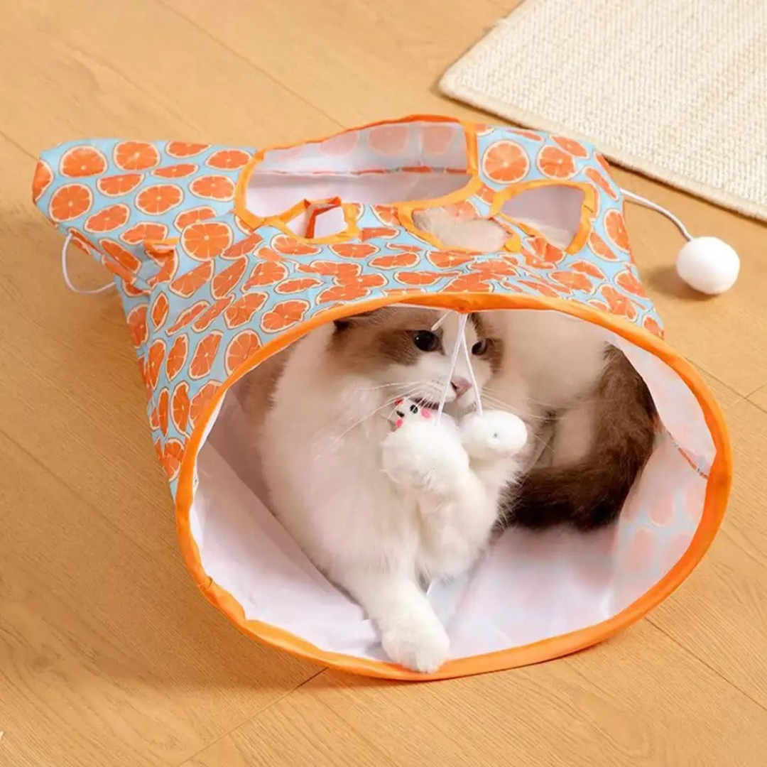 Cat Tunnel Toy