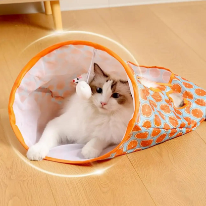 Cat Tunnel Toy