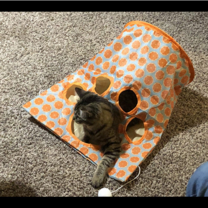 Cat Tunnel Toy