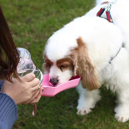 Practical Dog Water Bottle