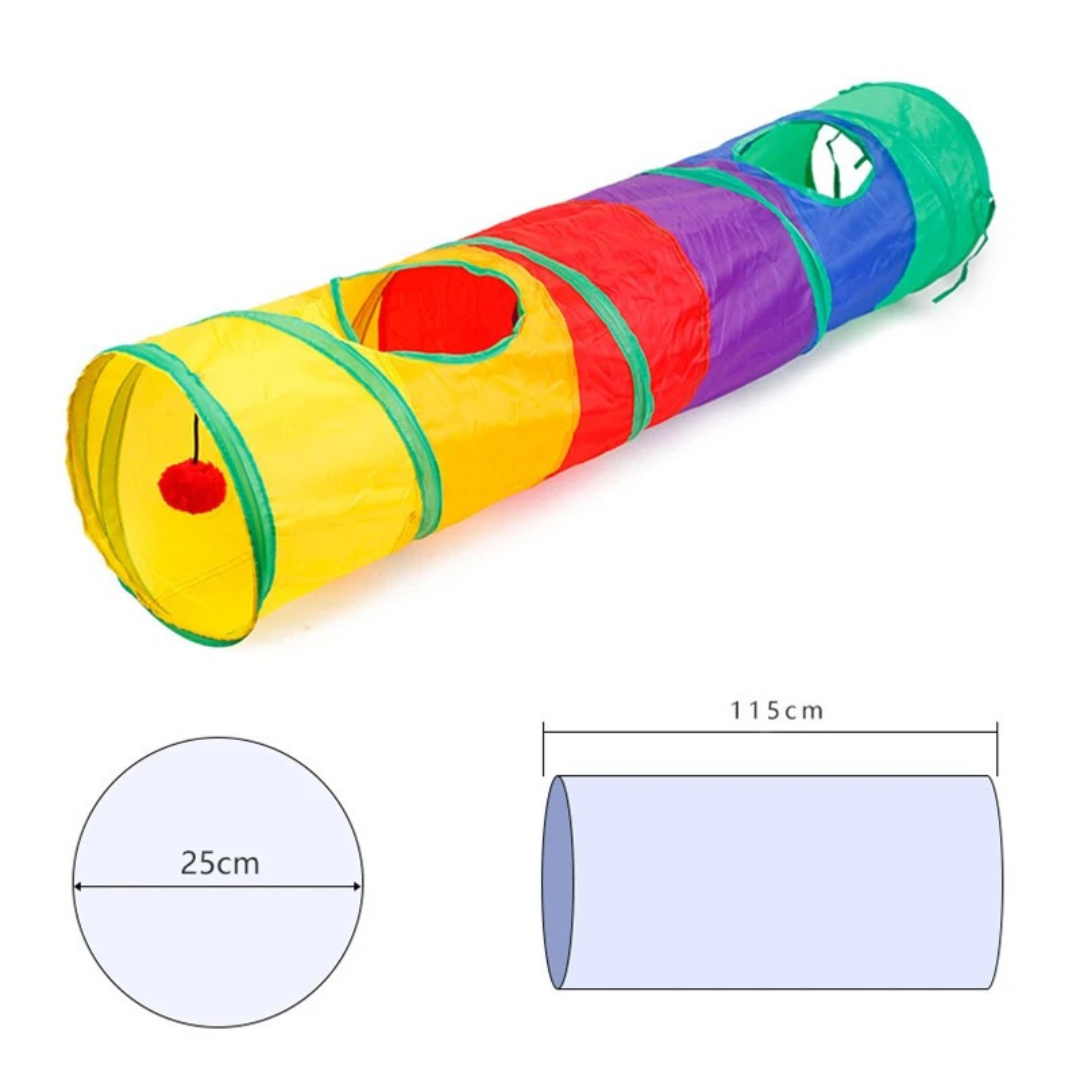 Rainbow cat tunnel