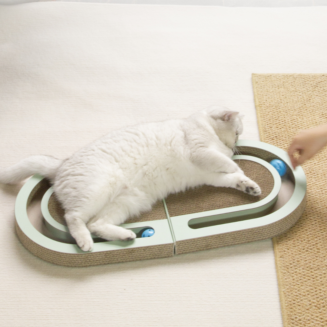 Cat Scratching and Play Bed Made of Cardboard