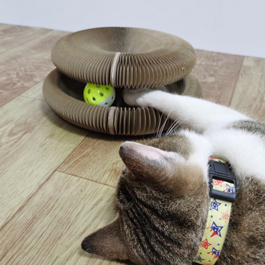 Cat Ball and Scratch Toy