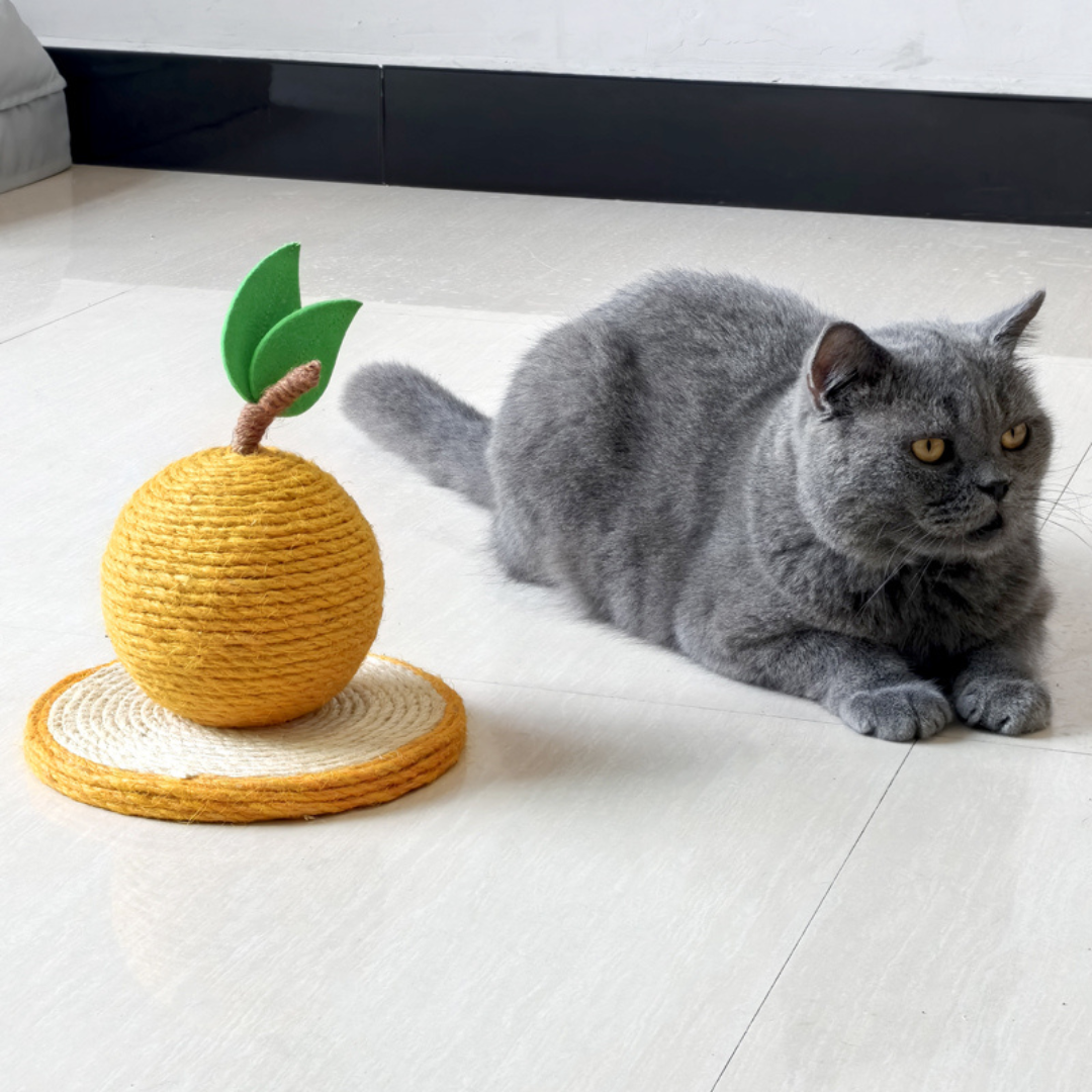 Cat Scratch Orange made of Sisal