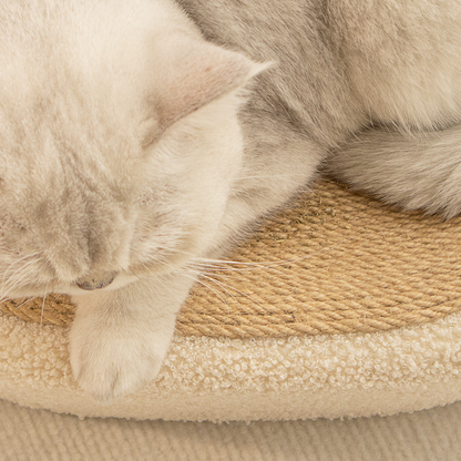 Premium Cat Sisal Scratching Bed in Beige