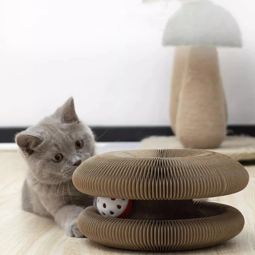 Cat Ball and Scratch Toy