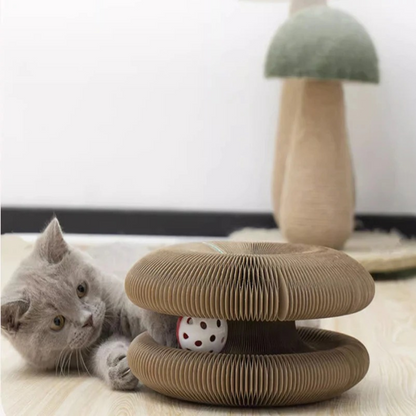 Cat Ball and Scratch Toy