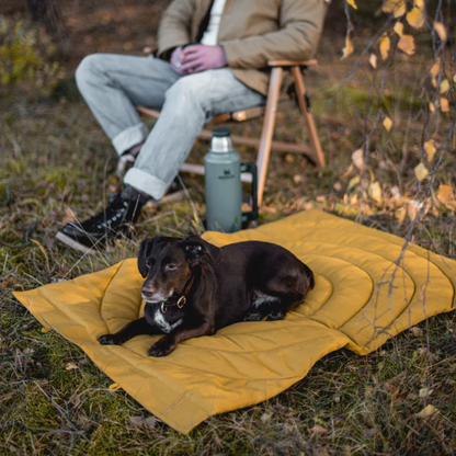 Foldable Waterproof and Dirt-Resistant Travel Blanket for Dogs