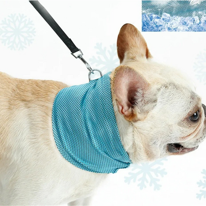 Cooling Dog Collar