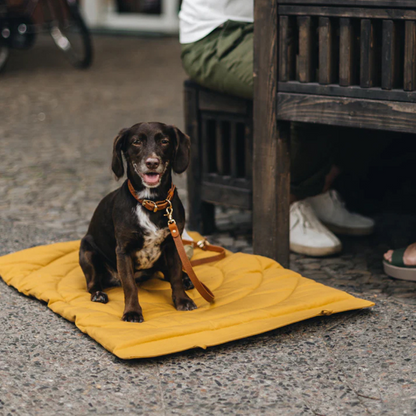 Foldable Waterproof and Dirt-Resistant Travel Blanket for Dogs