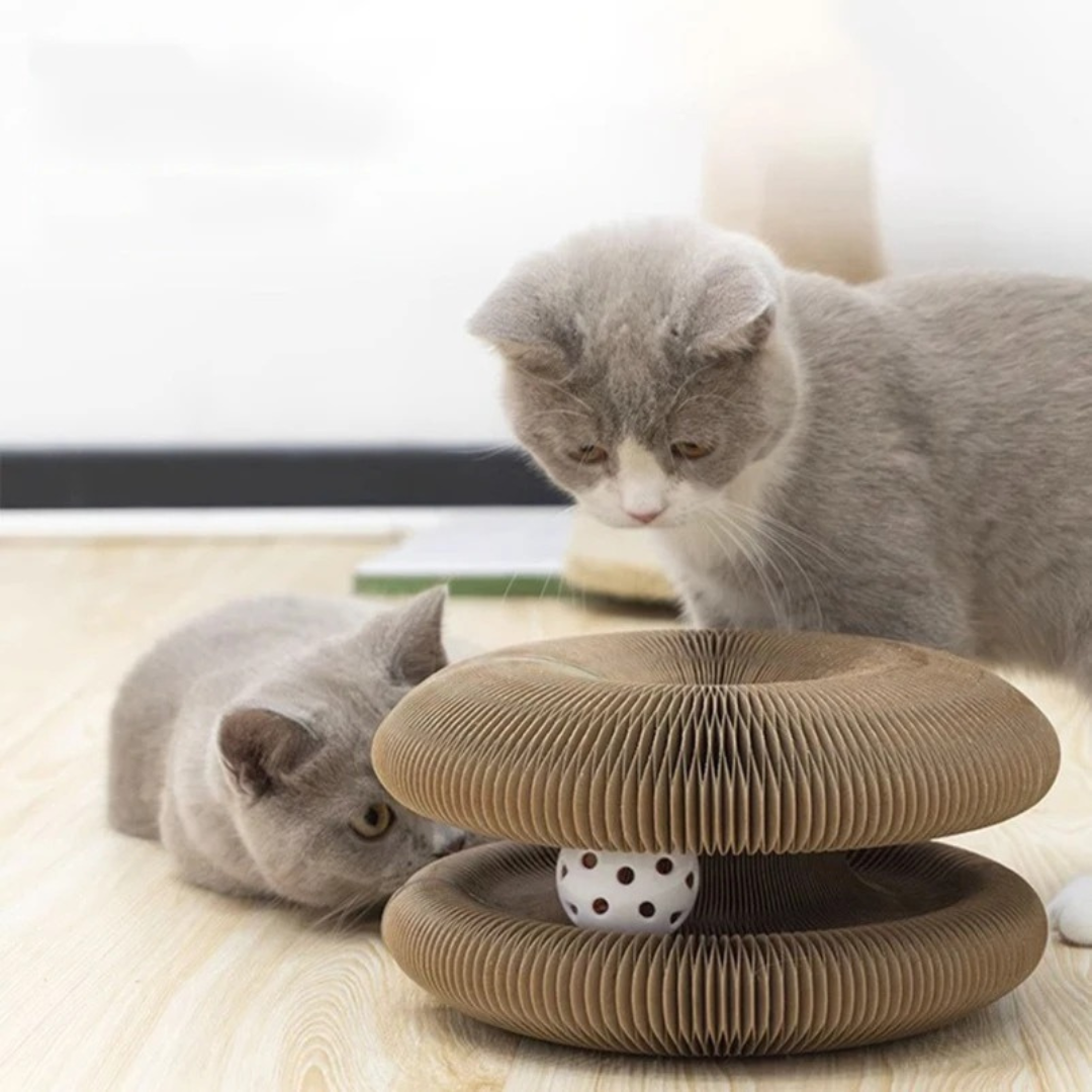 Cat Ball and Scratch Toy