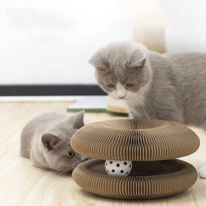 Cat Ball and Scratch Toy