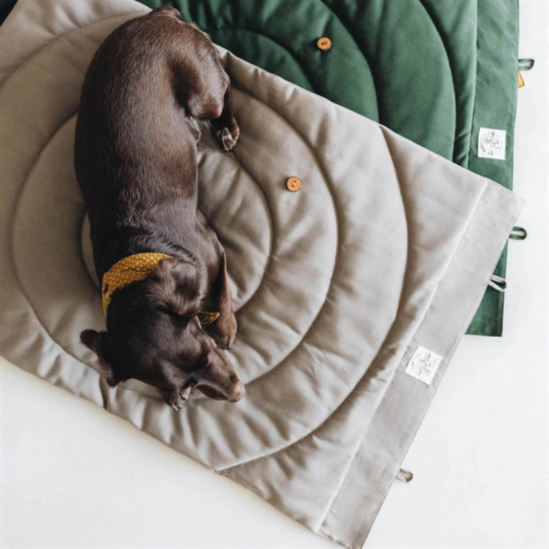 Foldable Waterproof and Dirt-Resistant Travel Blanket for Dogs