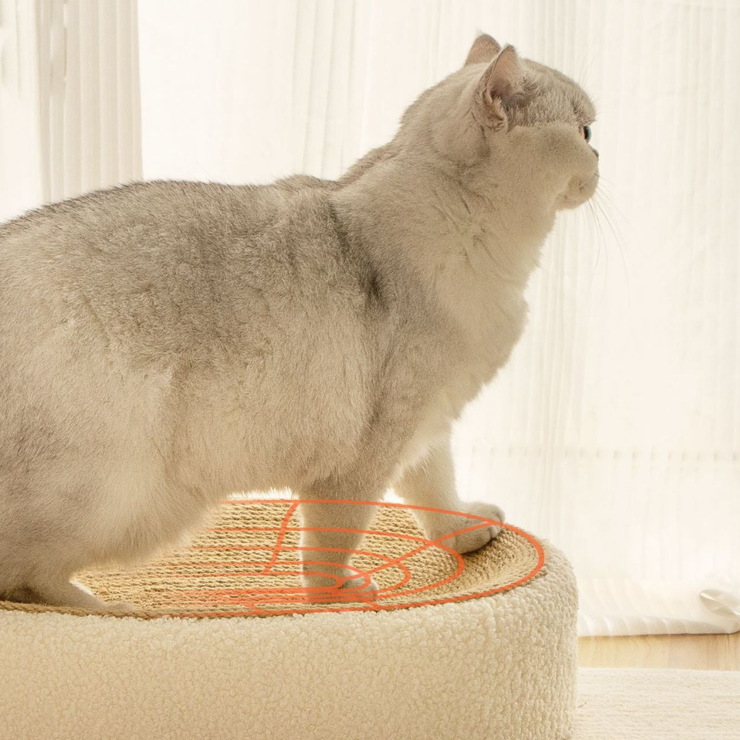 Premium Cat Sisal Scratching Bed in Beige