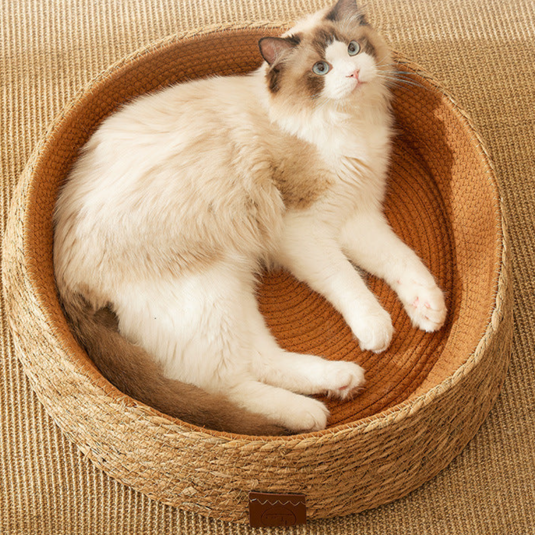 Hand-woven rattan cat scratching bed