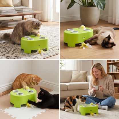Automatic Feather Chase Toy for Cats