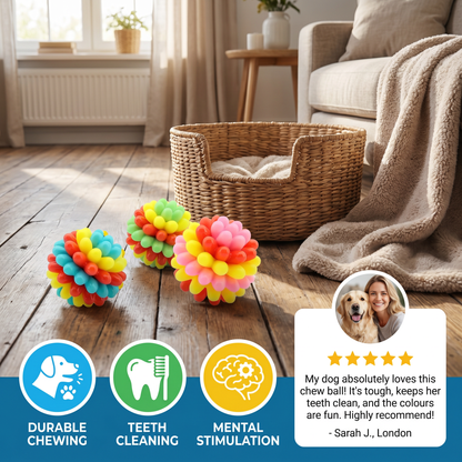 Colourful Bumpy Dog Chew Ball