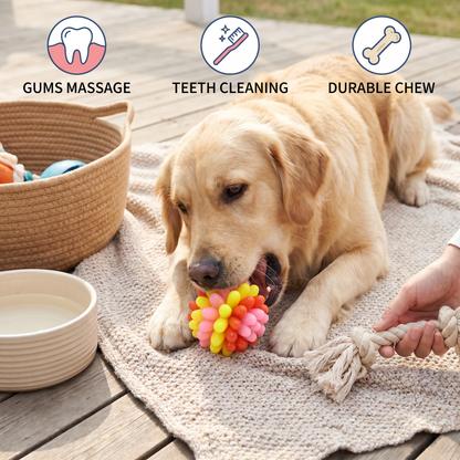 Colourful Bumpy Dog Chew Ball