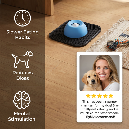 2in1 Slow Feeder Dog Bowl with Lick Mat