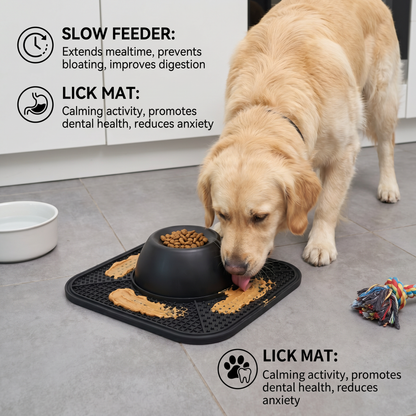 2in1 Slow Feeder Dog Bowl with Lick Mat