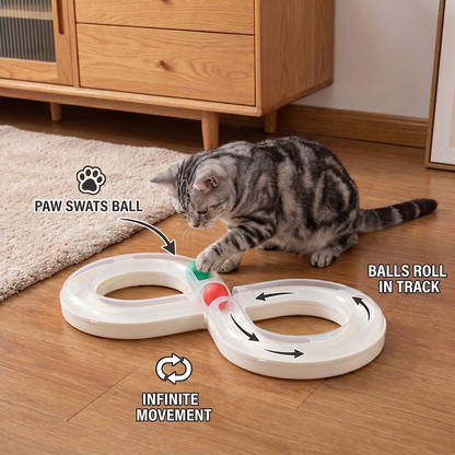 Interactive Cat Track Ball Toy