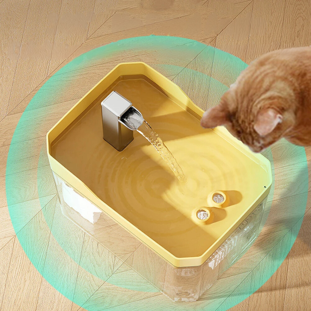 Pet Water Dispenser for Clean and Fresh Water