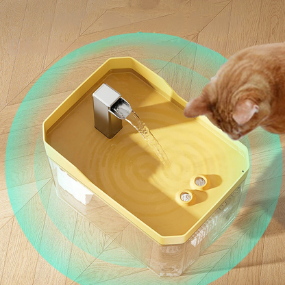 Pet Water Dispenser for Clean and Fresh Water