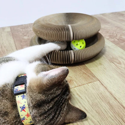 Fun Play and Scratching Delight for Your Cat – PlayFun Ball