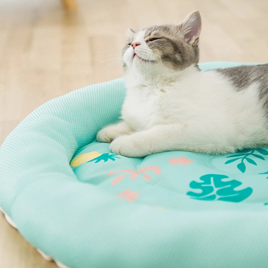 Breathable Cartoon Cooling Mat for Pets