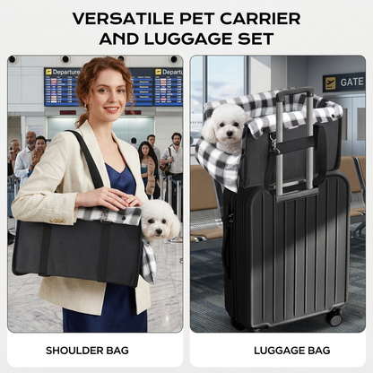 Safe Small Dog & Cat Car Travel Carrier with Safety Leash & Non-Slip Base