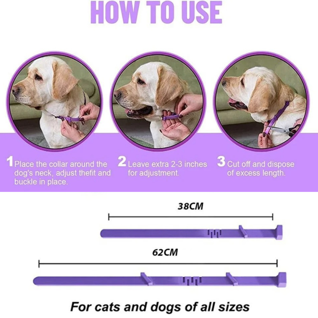 Pheromone Calming Collar for Dogs and Cats