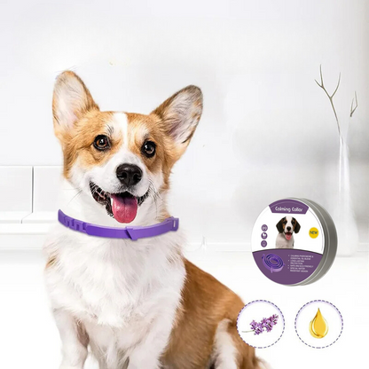 Pheromone Calming Collar for Dogs and Cats