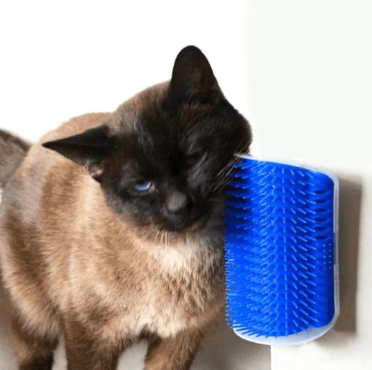 Self-Grooming Cat Corner Brush – FurRelaxer