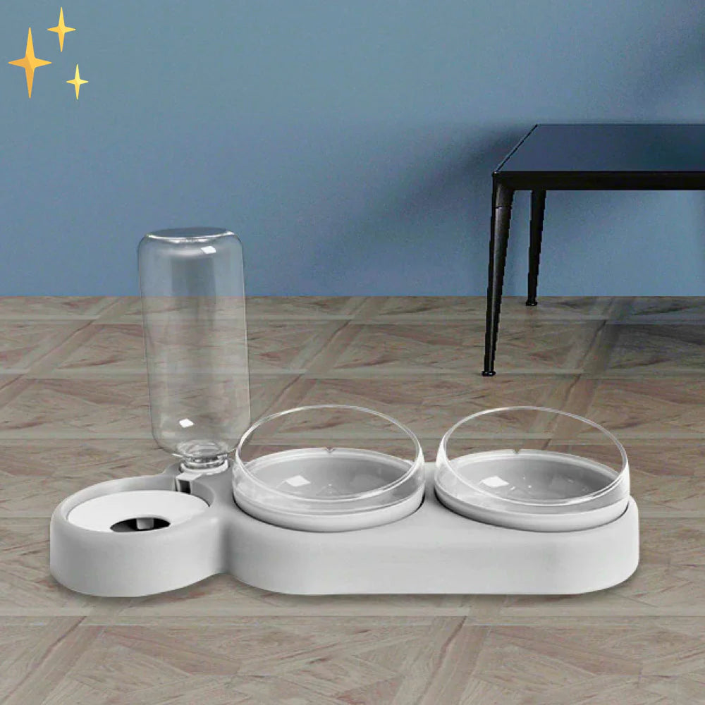 PetCare Dual Feeding Bowl with Auto Water Dispenser