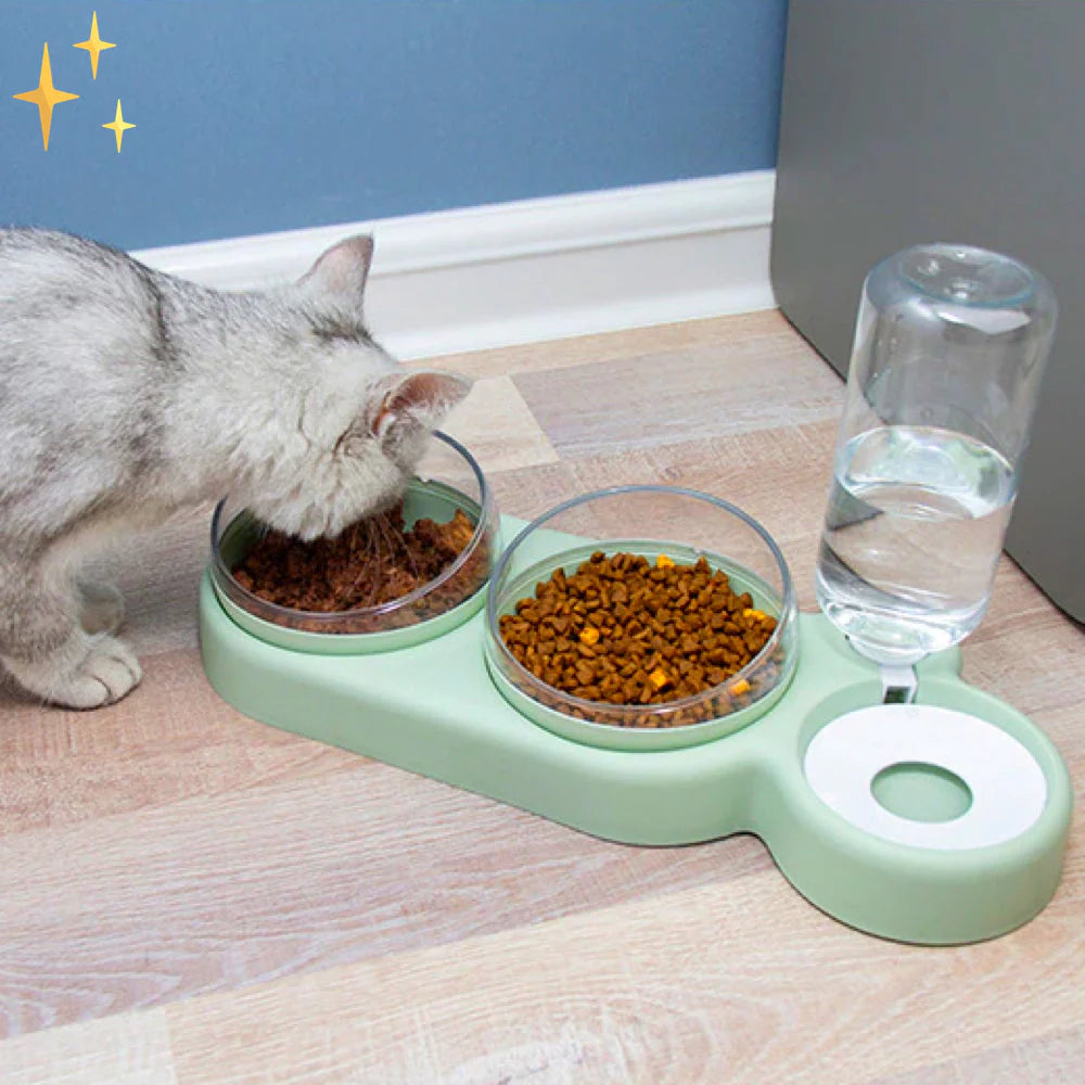 PetCare Dual Feeding Bowl with Auto Water Dispenser