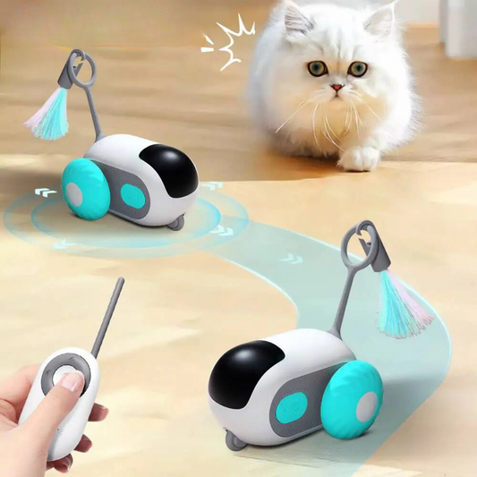 Remote Control Cat Toy