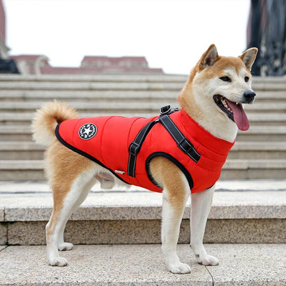 All-Wheather Dog Jacket