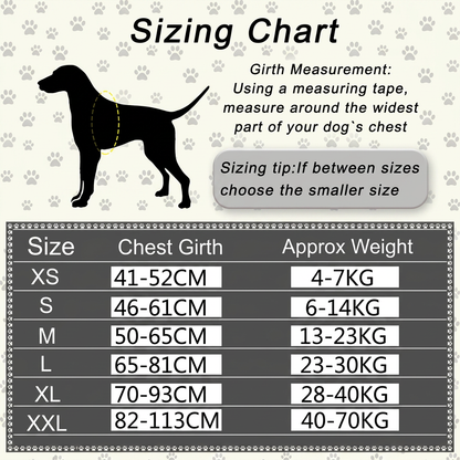 Personalized No-Pull Dog Harness with Front D-Ring – Designed for Neck & Shoulder Relief