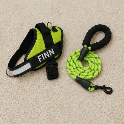 Personalized No-Pull Dog Harness with Front D-Ring – Designed for Neck & Shoulder Relief