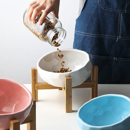 Ergonomic Elevated Pet Food Bowl