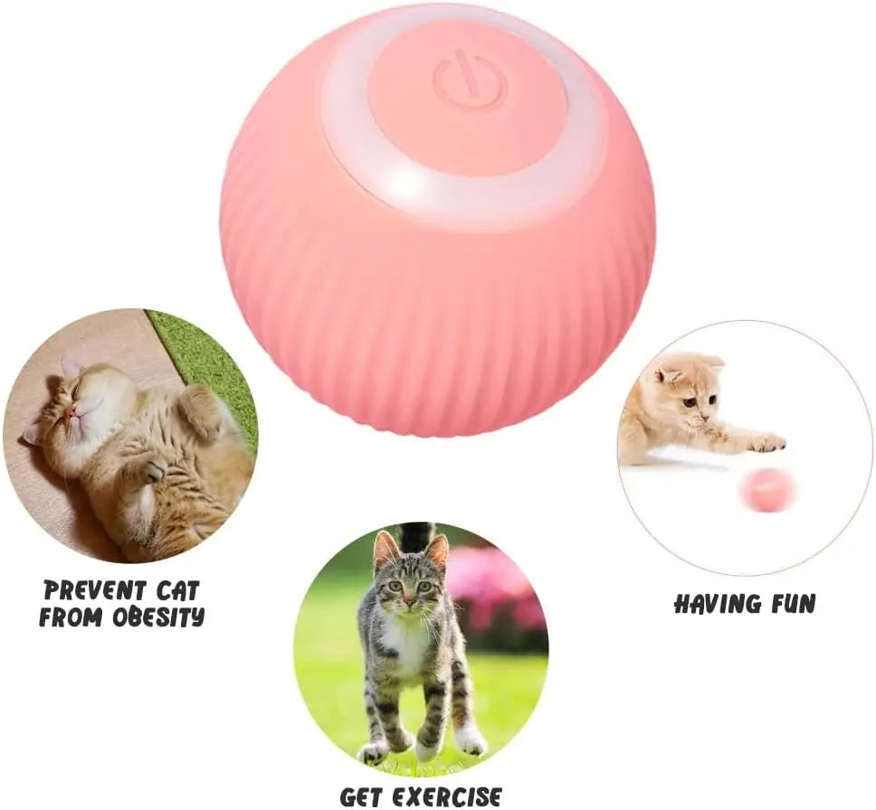 Interactive Cat Play Ball