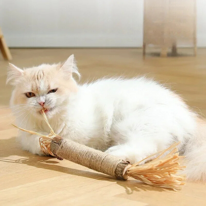 Cat Dental Cleaning Sticks