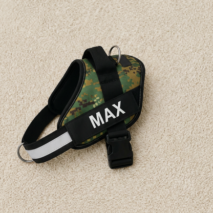Personalized No-Pull Dog Harness with Front D-Ring – Designed for Neck & Shoulder Relief