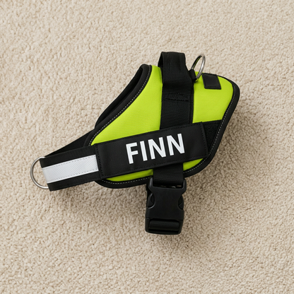 Personalized No-Pull Dog Harness with Front D-Ring – Designed for Neck & Shoulder Relief