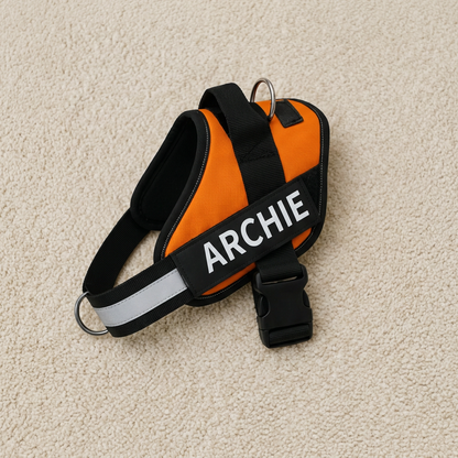 Personalized No-Pull Dog Harness with Front D-Ring – Designed for Neck & Shoulder Relief