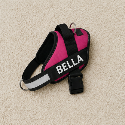 Personalized No-Pull Dog Harness with Front D-Ring – Designed for Neck & Shoulder Relief