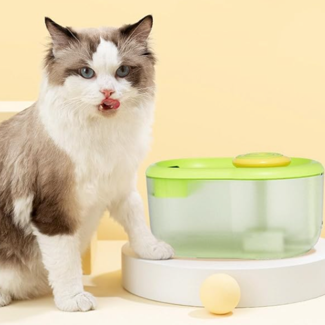 Lollipop Pet Water Dispenser