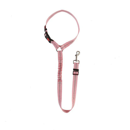 Dog Car Seat Belt