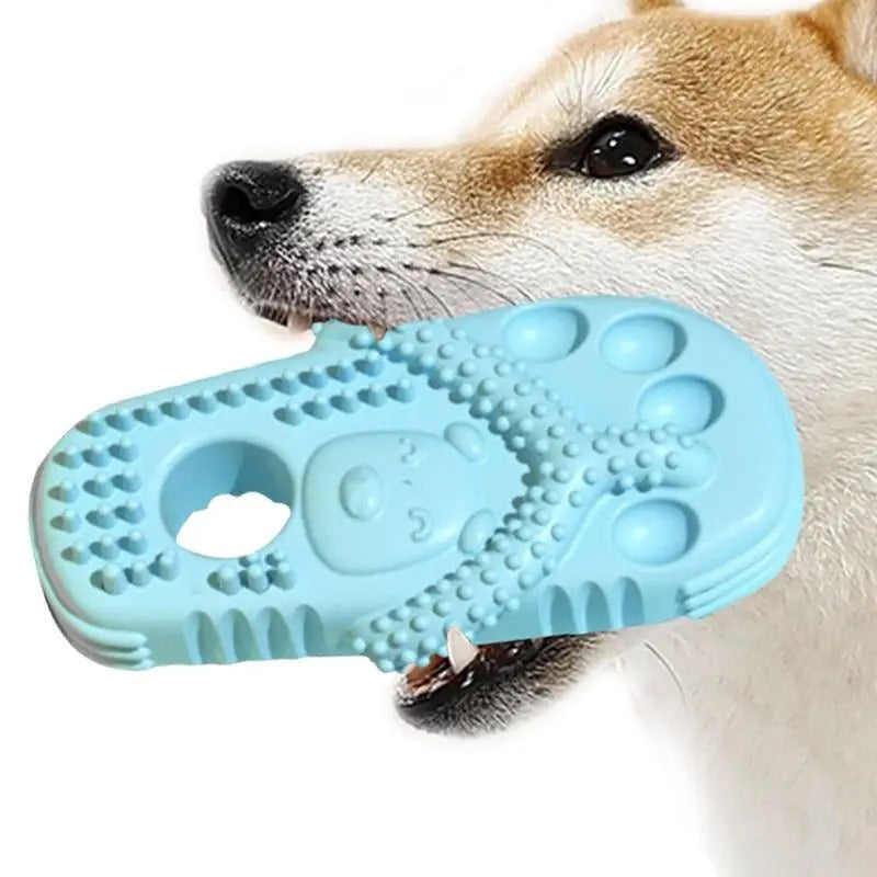 Chew Slippers for Dogs – FunPaws