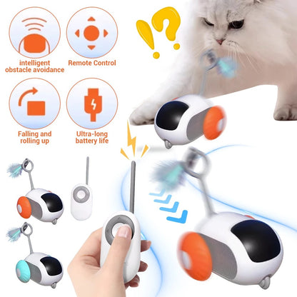 Remote Control Cat Toy